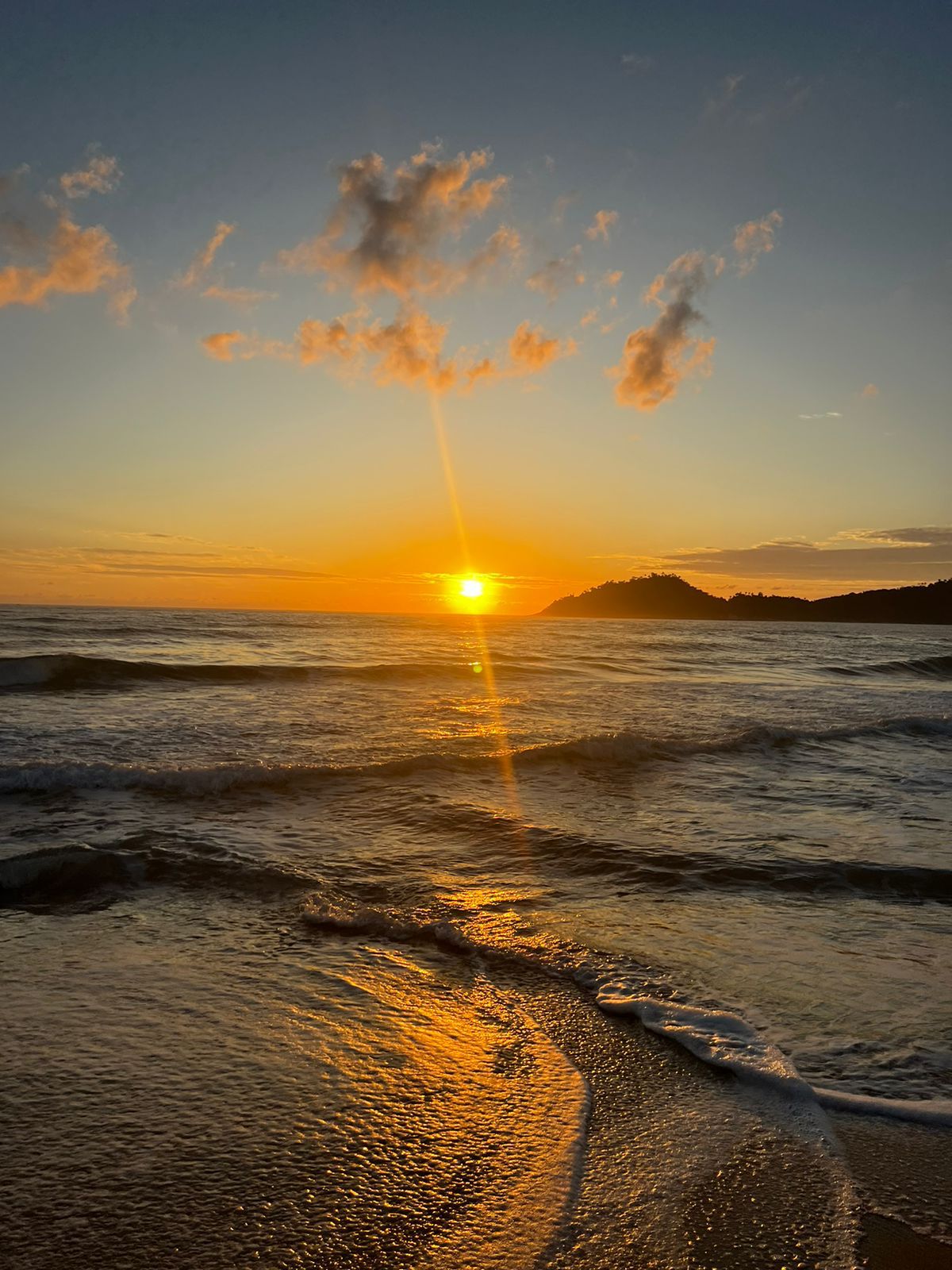 ad88a522-5984-4702-a7b1-801c80cef481